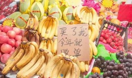 橘子最新爆料文案图片大全,最新图文揭秘，明星幕后故事大公开